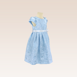 Ganika Girls Blue Textured Party Dress